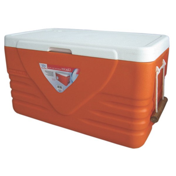 Buy Princeware 3502 - 100 Litres Ice Box Online at Best Prices in India