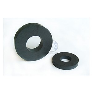 Buy Jainco 5111 - 2 inch Ring Magnet Online at Best Prices in India