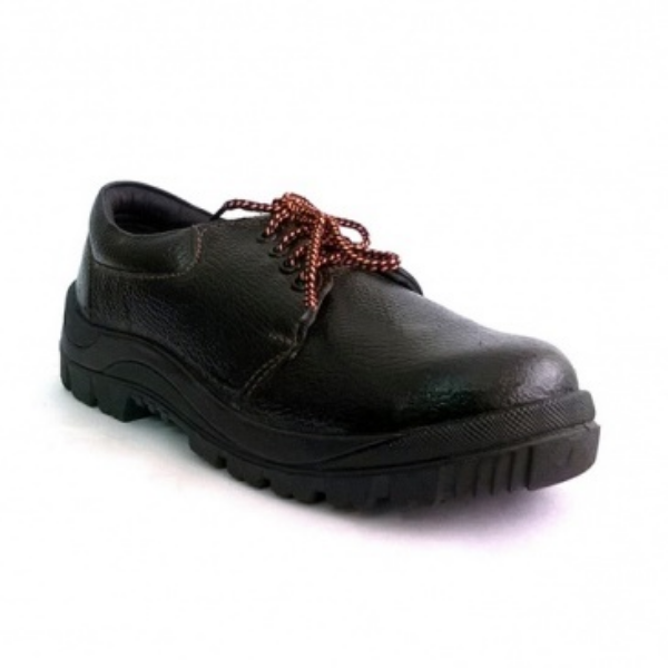 eco shoes online