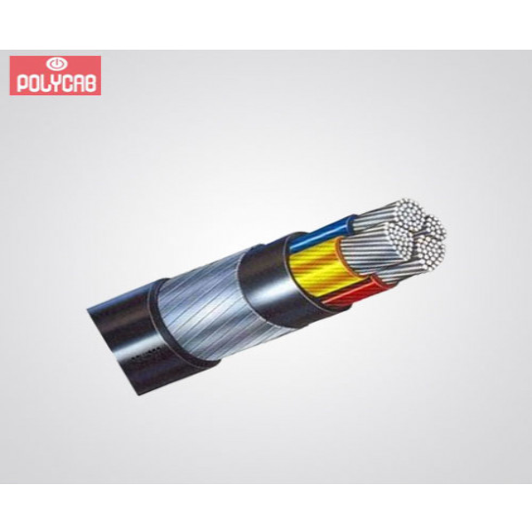 Buy Polycab 2 5 Sq Mm xwy xfy 2 Core Aluminium Armoured Cable Pack Of 50 Meter Online At Best Prices In India