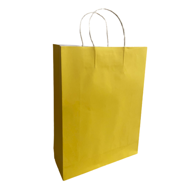 Buy Amate CWM - 120 GSM Paper Bag (Pack of 100) Online at Best Prices ...