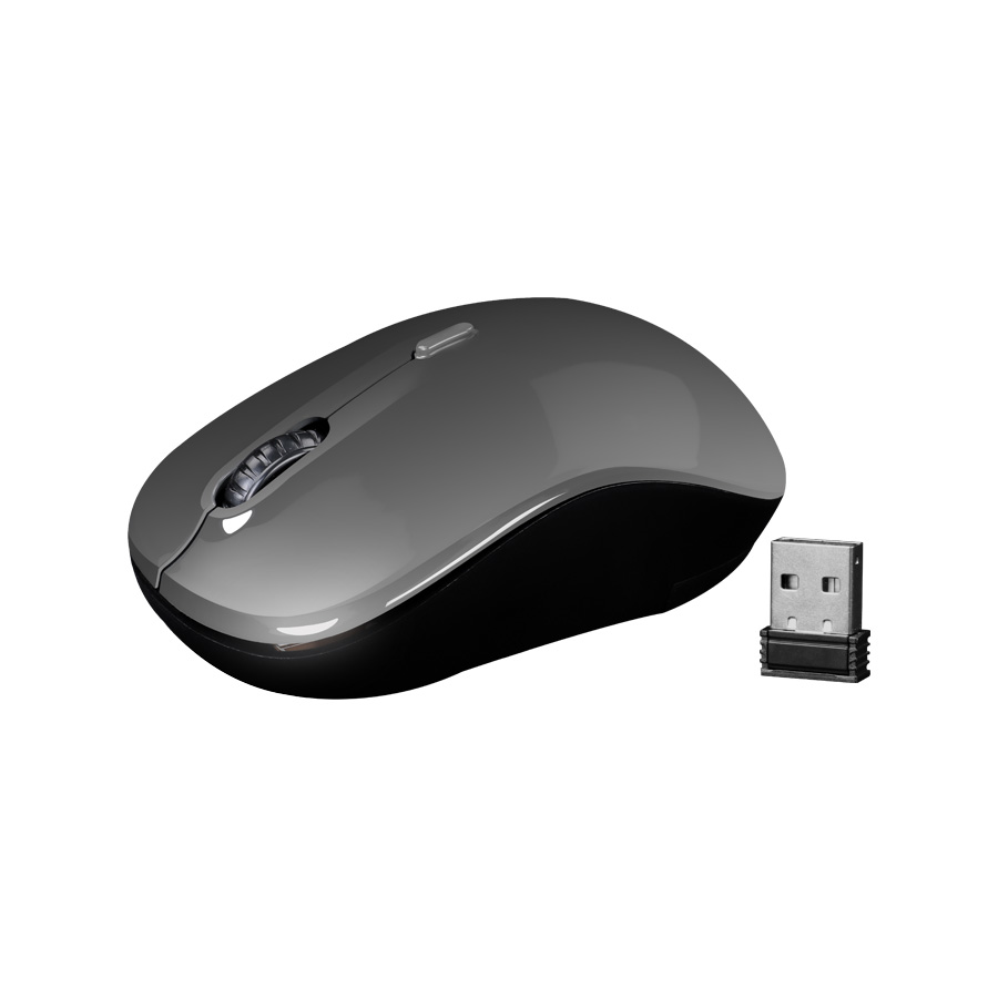 zebronics zoom wireless mouse