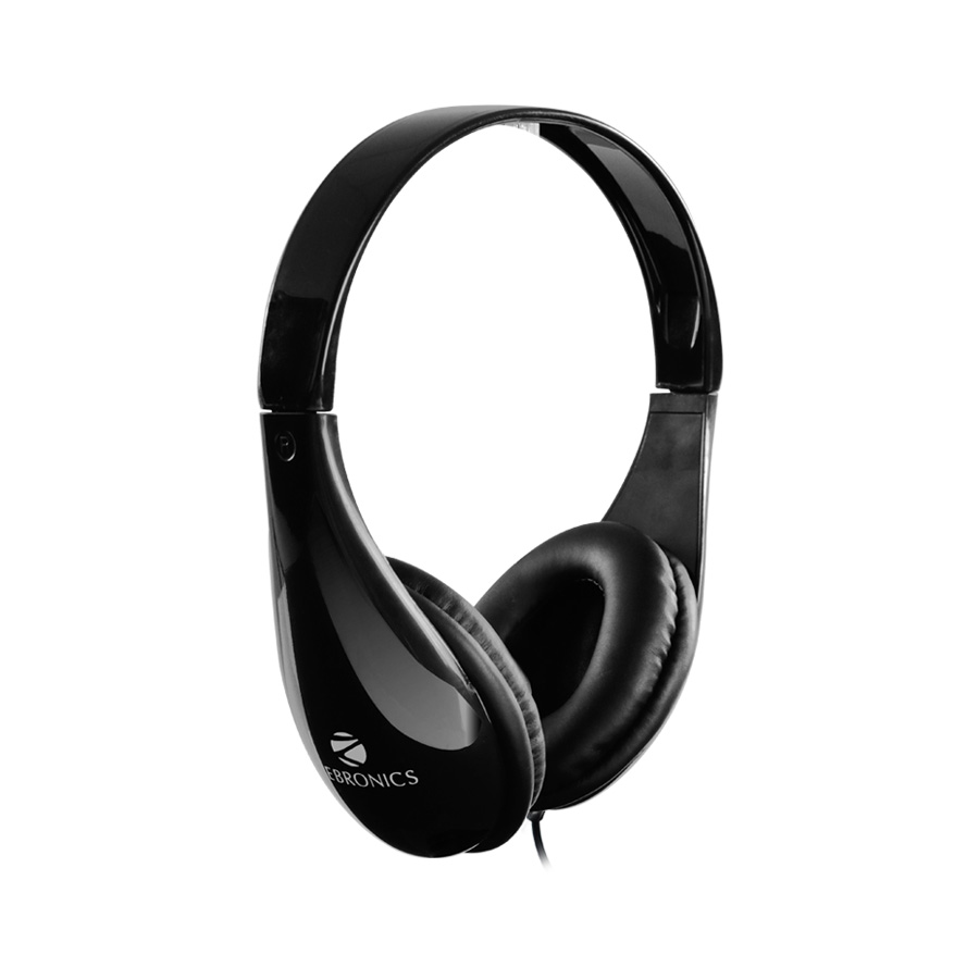 multimedia headphone with mic